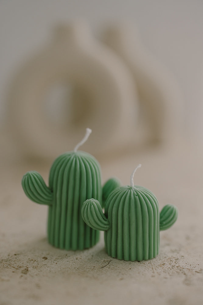 Cactus Set