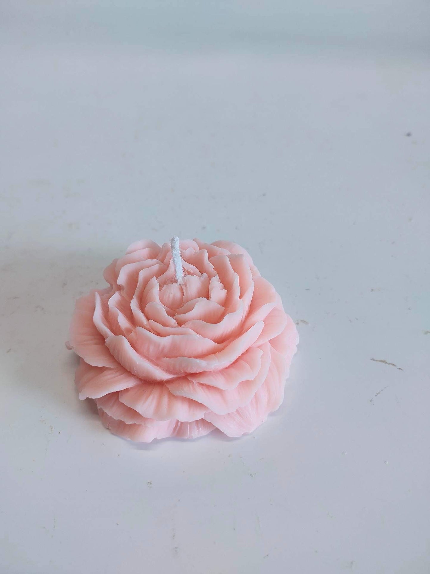 Peony Flower - Sample